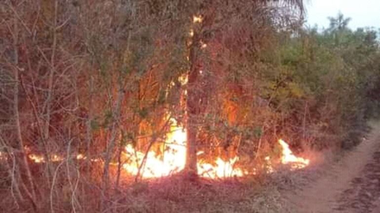 Sofocaron incendio en Cerro Patiño.