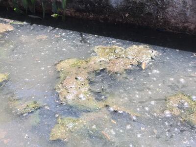 /pf/resources/images/abc-placeholder.png?d=2421