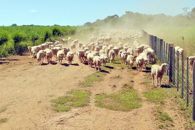 /pf/resources/images/abc-placeholder.png?d=2421