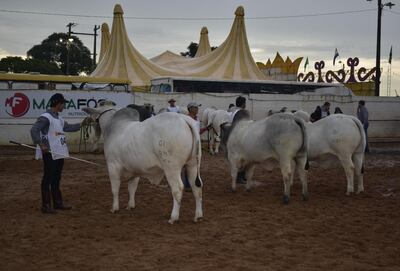 /pf/resources/images/abc-placeholder.png?d=2424