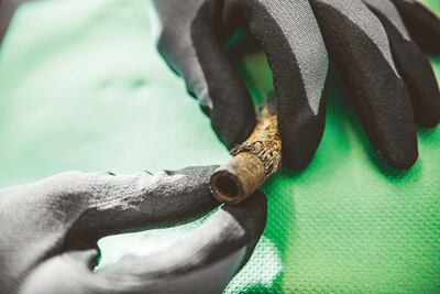 /pf/resources/images/abc-placeholder.png?d=2410