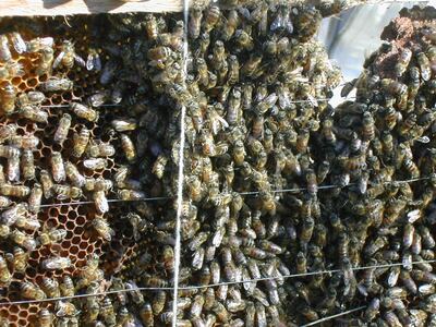 /pf/resources/images/abc-placeholder.png?d=2425