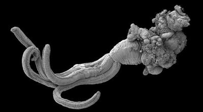 Imagen sin descripción