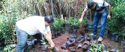 /pf/resources/images/abc-placeholder.png?d=2417