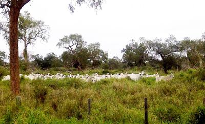 /pf/resources/images/abc-placeholder.png?d=2393