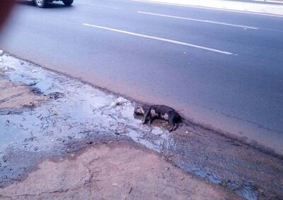 /pf/resources/images/abc-placeholder.png?d=2425