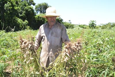 /pf/resources/images/abc-placeholder.png?d=2395