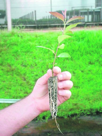 /pf/resources/images/abc-placeholder.png?d=2421