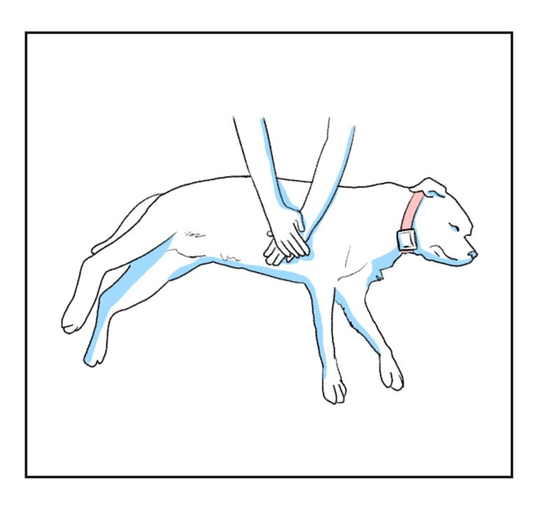 /pf/resources/images/abc-placeholder.png?d=2394