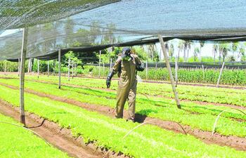 la-toxicidad-de-los-agrodefensivos-103152000000-1313503.JPG