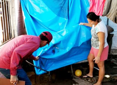 Las piletas de lona  sirven de criaderos. Si están cargadas se debe colocar cloro o cubrir; si se desagotan se debe chequear pliegues.