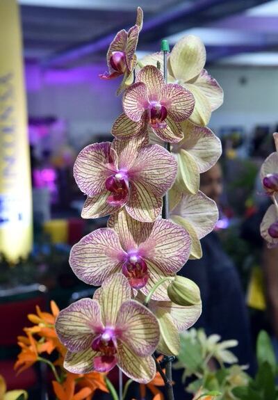 /pf/resources/images/abc-placeholder.png?d=2423