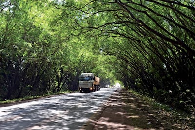 /pf/resources/images/abc-placeholder.png?d=2393