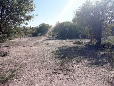 Se puede percibir uno de los campos ganaderos afectado por la sequía, solo existe tierra y nada de pastos.