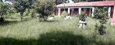 El patio de la escuela está muy descuidado, que se suma a la lamentable situación en que se encuentra una de las aulas.