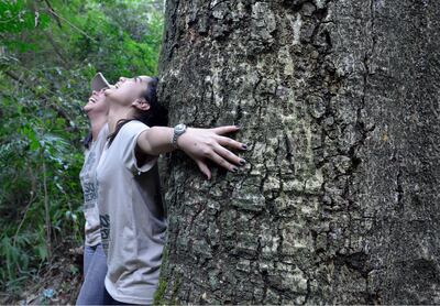 Amor por la naturaleza y por los seres humanos. Flores y árboles son propuestas para regalar en San Valentín, el 14 de este mes y así ayudar a la reforestación.