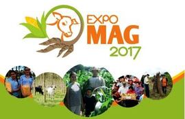expo-mag-2017-84331000000-1598073.jpg