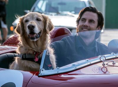 El perrito Enzo (cuya voz la hace Kevin Costner en la versión en inglés) y su dueño Denny Swift (Milo Ventimiglia).