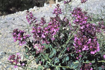 /pf/resources/images/abc-placeholder.png?d=2399