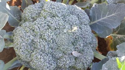 /pf/resources/images/abc-placeholder.png?d=2394