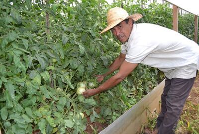 Imagen sin descripción
