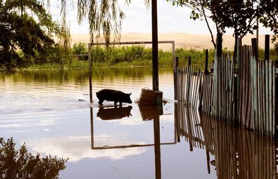 Imagen sin descripción
