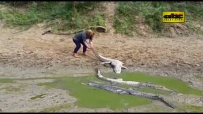 /pf/resources/images/abc-placeholder.png?d=2421