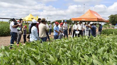 Los productores aprovecharon la oportunidad para realizar las consultas a los técnicos de las  empresas sobre las variedades presentadas.