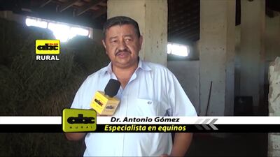 /pf/resources/images/abc-placeholder.png?d=2425