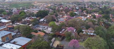 La cercanía de la primavera renueva el verdor de los árboles y entre esas copas los lapachos ponen todo su colorido en Chacarita.