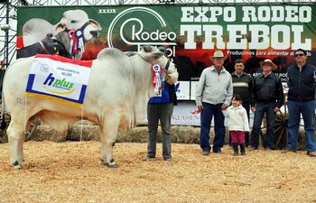 gran-campeon-nelore-perteneciente-a-la-ganadera-porvenir-los-animales-presentados-en-la-feria-se-distinguen-por-su-calidad-genetica--221429000000-589976.jpg