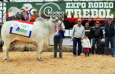 Imagen sin descripción