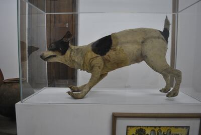 Casona que guarda recuerdos del dramaturgo Julio Correa en Luque