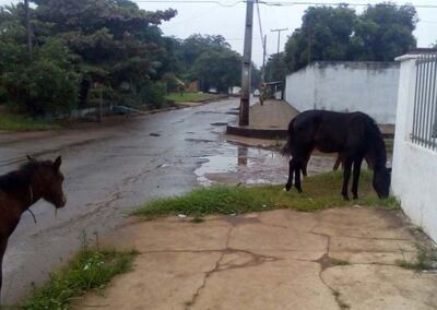 /pf/resources/images/abc-placeholder.png?d=2398