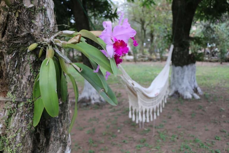 /pf/resources/images/abc-placeholder.png?d=2395