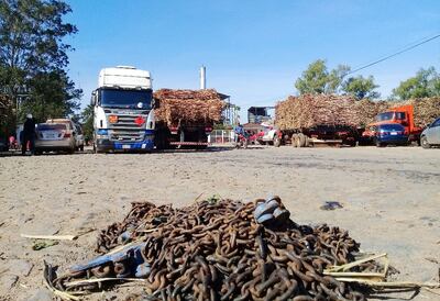Camiones llenos de caña de azúcar, en la explanada de la  planta de Troche, que esperan hasta seis días para descargar.