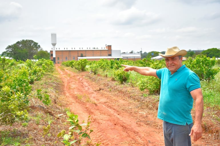 El exgobernador Oscar Chávez Resquín mostrando su cultivo de yerba mate y al fondo su industria yerbatera.