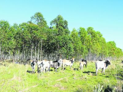 /pf/resources/images/abc-placeholder.png?d=2421