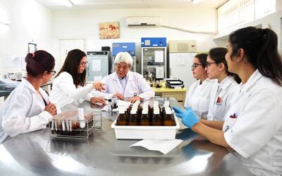 El Dr. Vet. Masanori Hayashi, trabajará  con los técnicos del Senacsa por dos años.