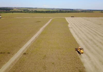 La soja es el renglón agrícola más importante del país.