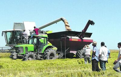 /pf/resources/images/abc-placeholder.png?d=2419