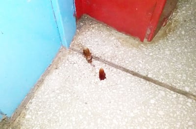 /pf/resources/images/abc-placeholder.png?d=2394