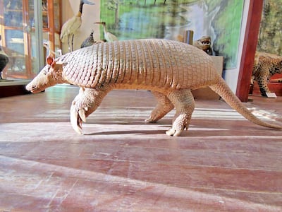 Imagen sin descripción