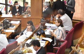 El Senado se opuso a la creación de cargos en el Poder Judicial y negó el aumento presupuestario.