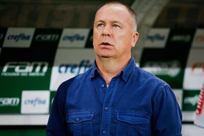 Mano Menezes, Palmeiras