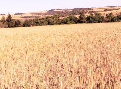 /pf/resources/images/abc-placeholder.png?d=2429