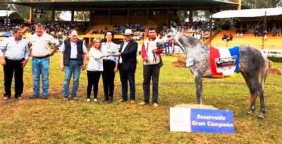 Árabe,  reservada de Gran Campeona.