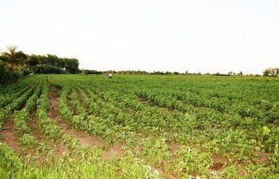 /pf/resources/images/abc-placeholder.png?d=2399