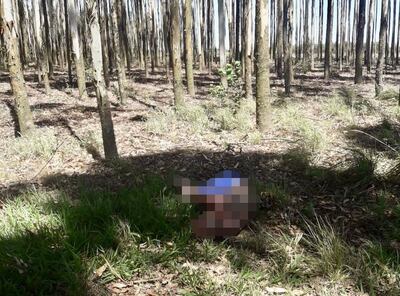 /pf/resources/images/abc-placeholder.png?d=2421