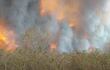 Los incendios forestales en la zona del cerro Chovoreca, Alto Paraguay, se tornan incontrolables.